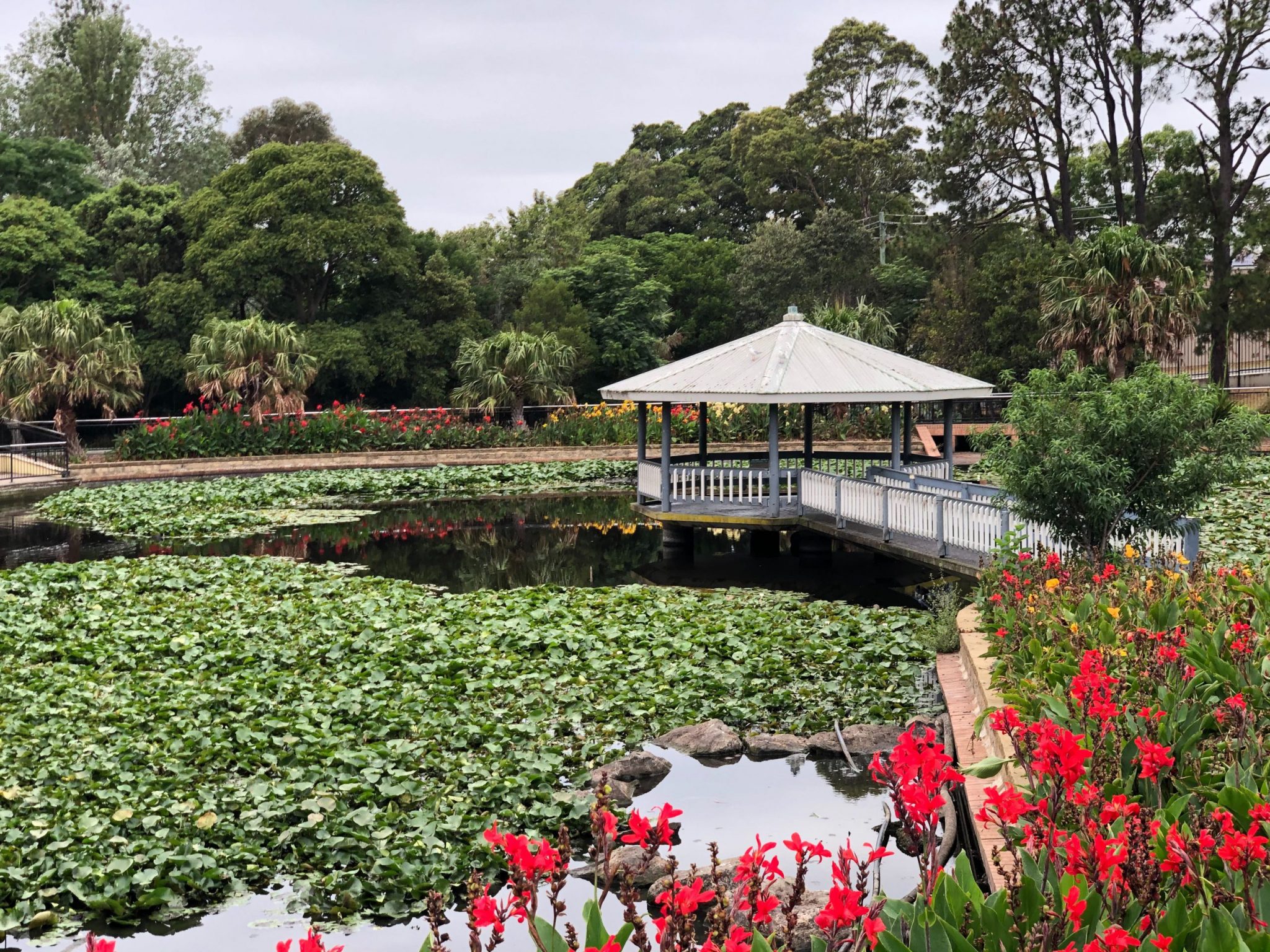 Wollongong: What'S Happening Now? - fabt4du